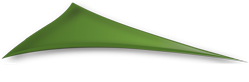 Trinity Management Inc. Logo